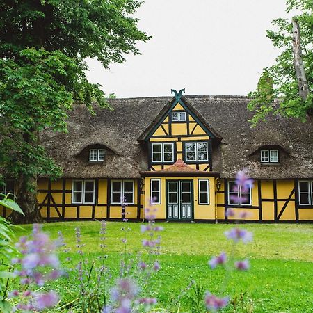 Herrenhaus Gut Dorotheenthal Дамп Экстерьер фото
